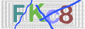 Image Anti-spam